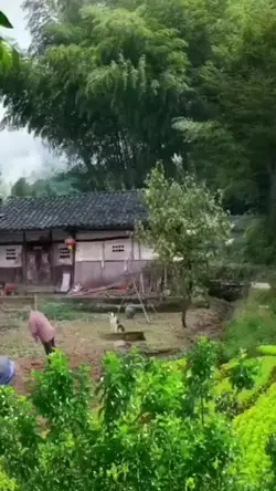 Nhớ Công Ơn Cha Mẹ .