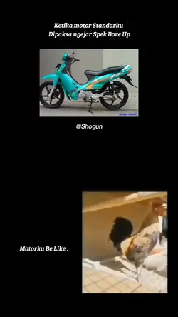 Ni Yg Request Shogun