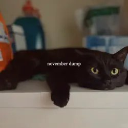NOVEMBEER DUMP
