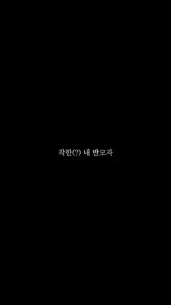 홍보