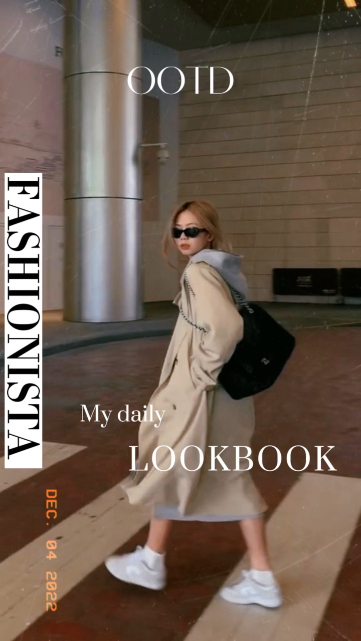 Meu Lookbook Diário
