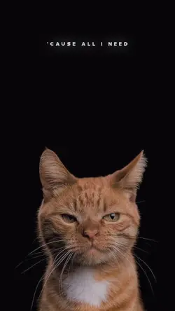Lirik lagu