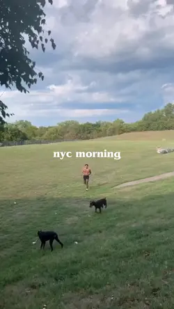 Daily Vlog
