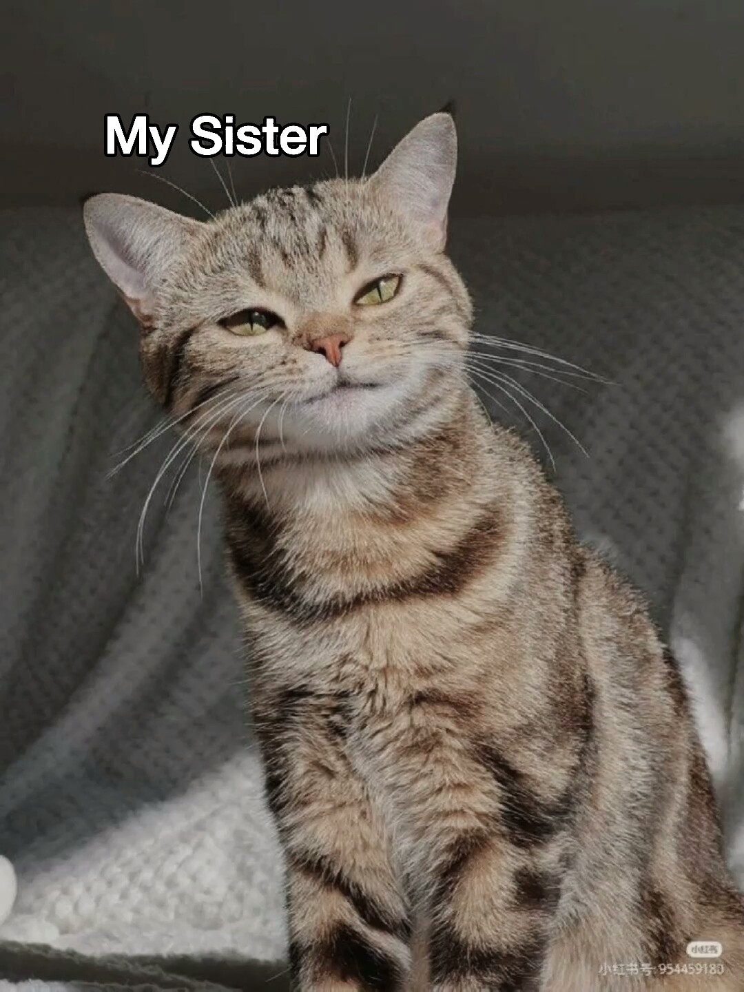 My sister vs me