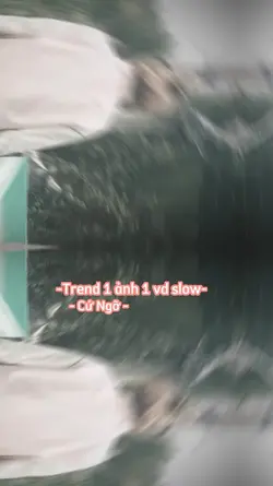 1 ảnh 1 vd slow 