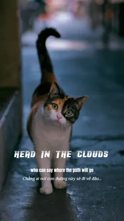Head in the clouds