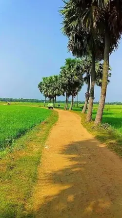 សម្រាប់អ្នកសុំ