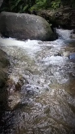 kesilapan