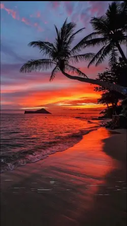 Ocean's