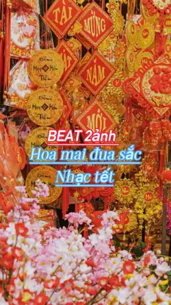 nấu bánh chưng xanh