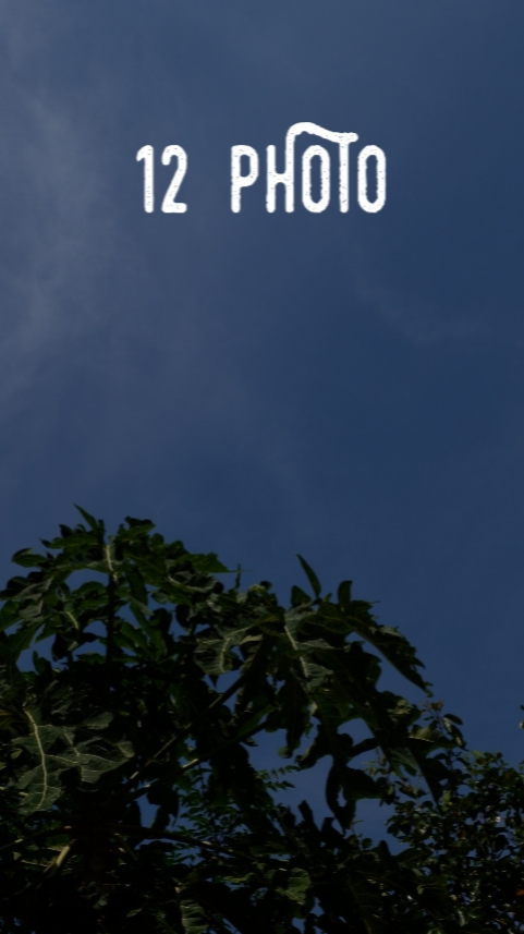 12 FOTO 