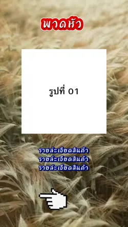 แม่แบบรีวิวสินค้า