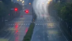 Cheap Thrills 🎶🎵