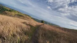 aestetik shoot