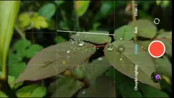 Ngày mưa ☔️ 📷