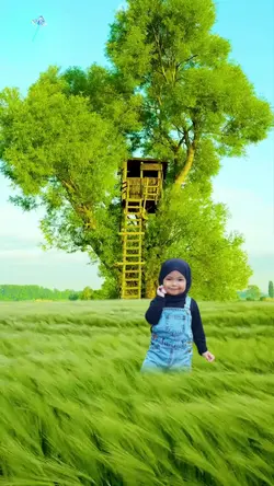 Rumah Pohon 07