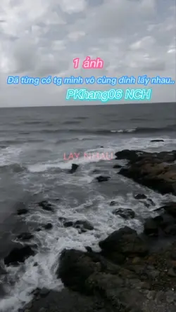 1 ảnh