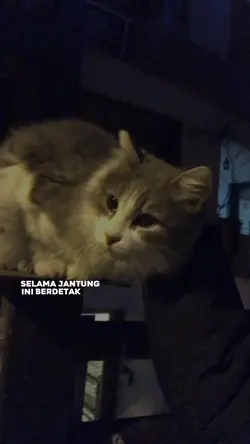 hingga tua bersama 