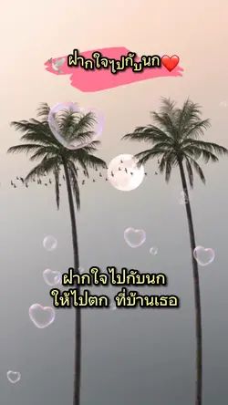 🎶เพลงเพราะ🎵