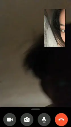 Fake video call