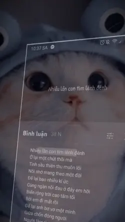 Tình sầu thiên ....