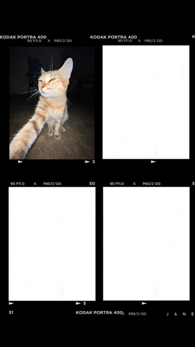 Filme Fotográfico