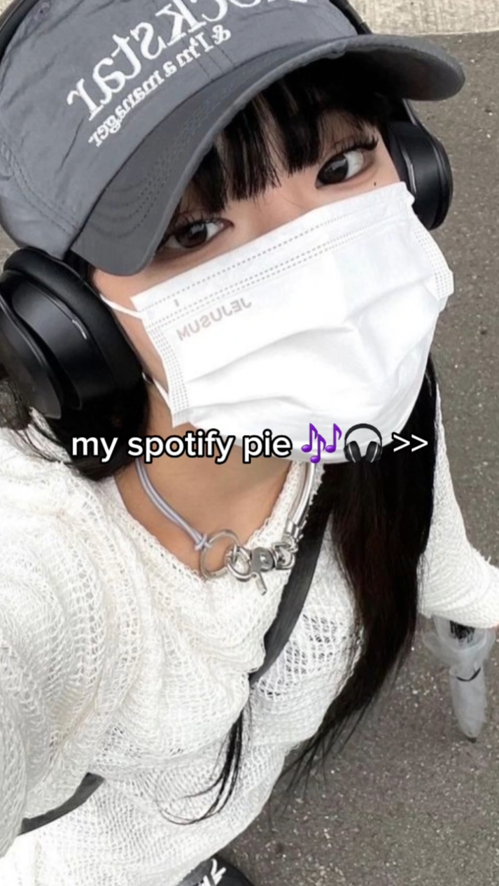 spotify turtası > >
