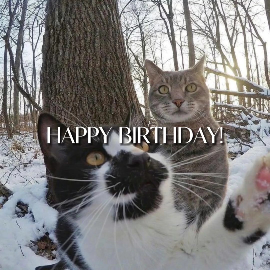Happy birthday temp.