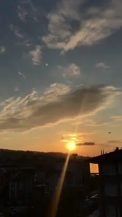 pilu | slowmo|burung