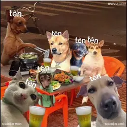 meme 