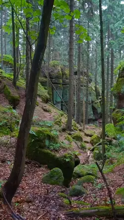 VlogEstetik