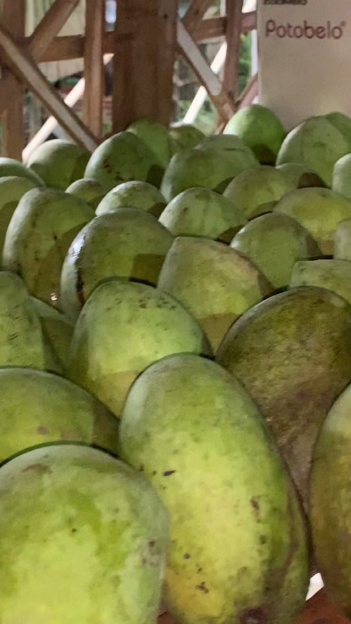 Mango