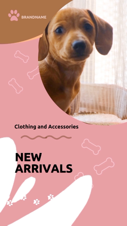 애완동물 의류 및 액세서리