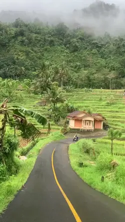 VIDEO MENTAHAN