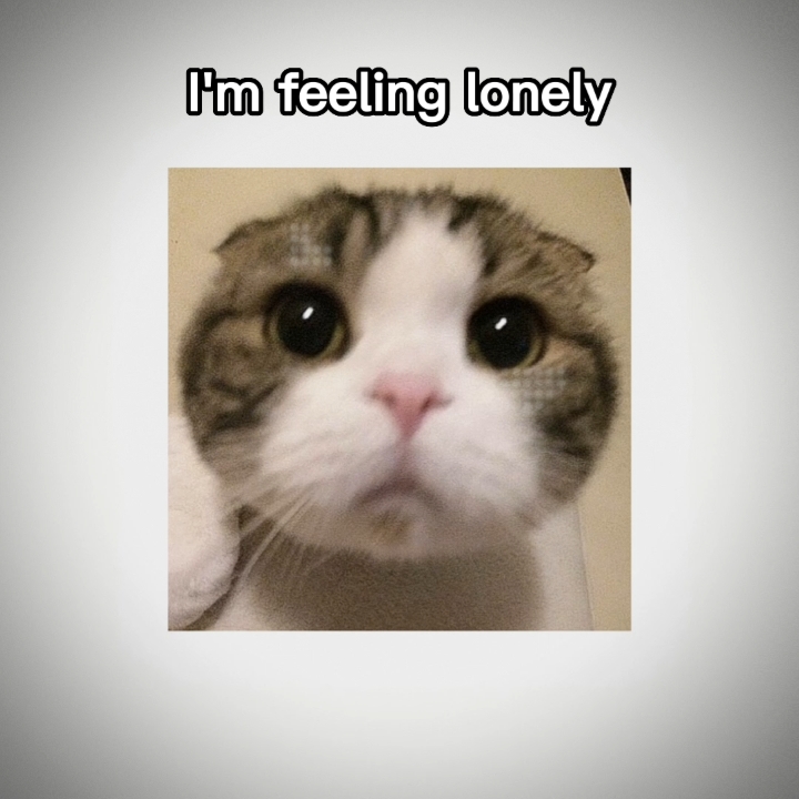 Me siento solo