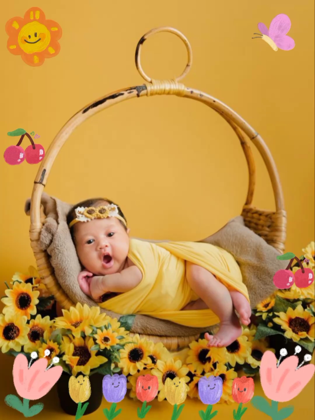 Álbum bayi