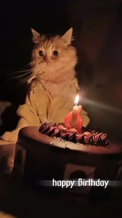 วันเกิด ใช้ 1 รูป