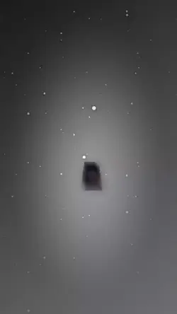 M.