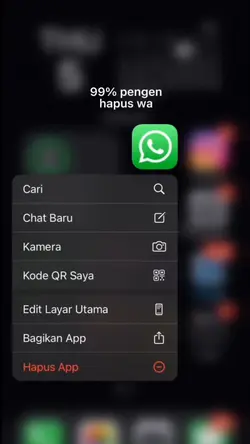 99% Hapus Wa