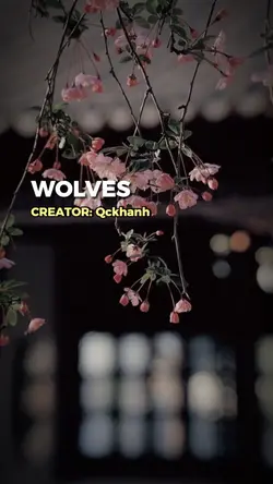 11ảnh
