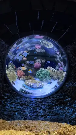 Sea life ocean world