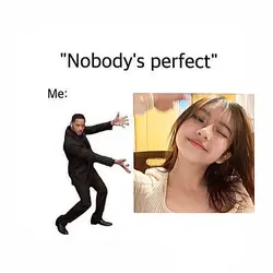 nobody's perfect