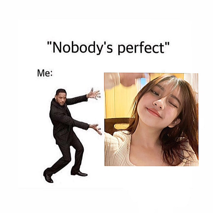 nobody's perfect