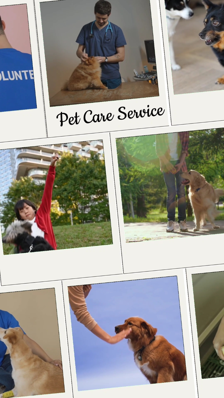 Pet Care Service Promo - Collage-Stil