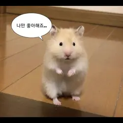 박자편집