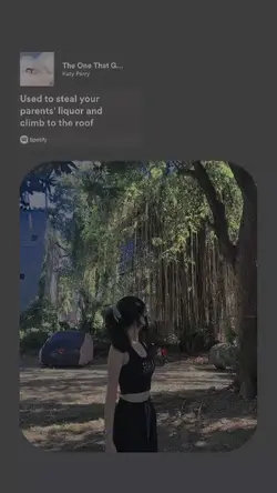 Spotify lyrics