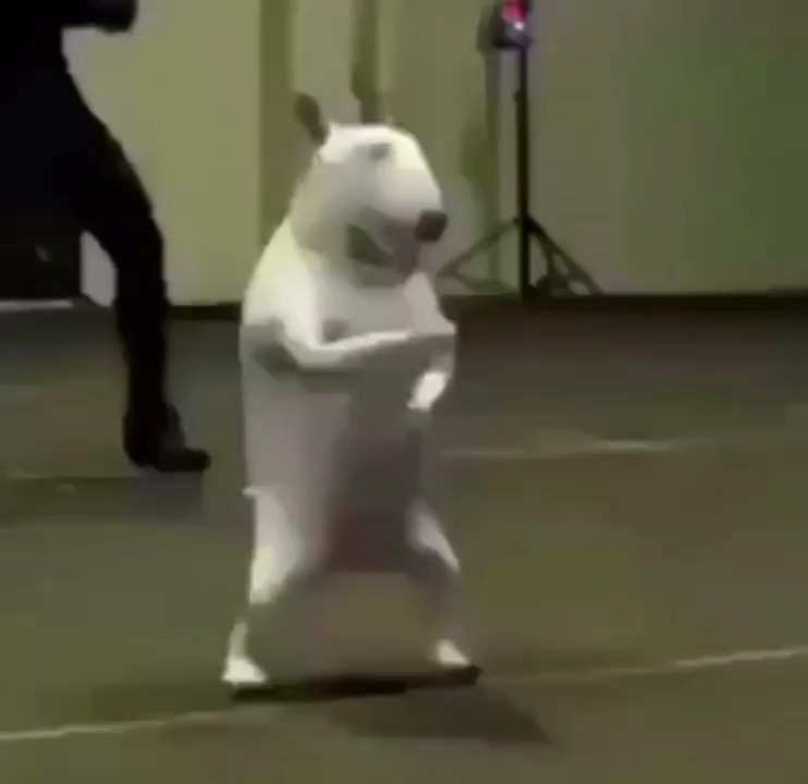 just fun