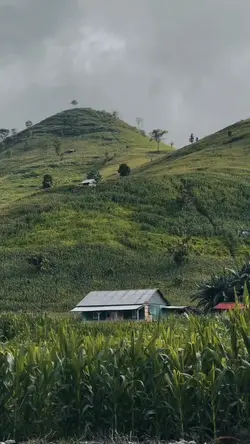 mentahan.video