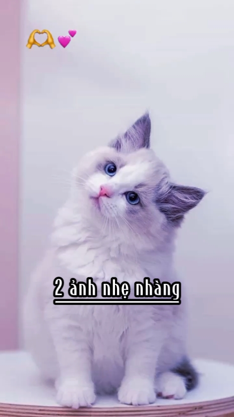 2 ảnh nhẹ nhàng