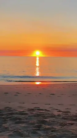 Melô de lana del rey